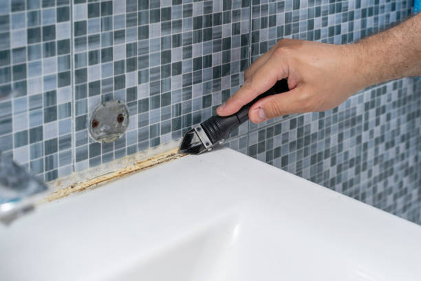 Best Residential Mold Removal  in Charlotte Hall, MD